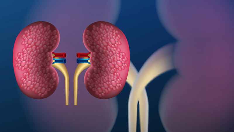 What-you-need-to-know-about-adrenal-glands