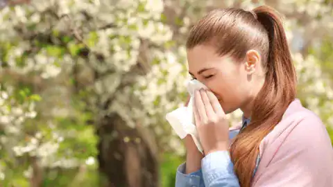 When is Allergy Season in Different Places Across the United States