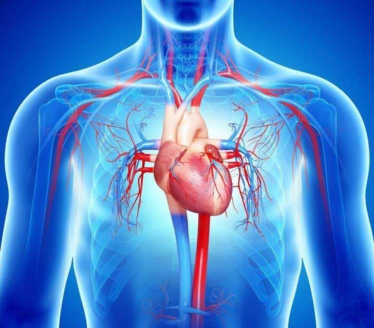 Can Congestive Heart Failure Be Reversed
